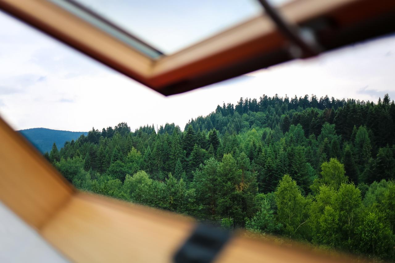 Villa Buhiv Skhidnytsia Εξωτερικό φωτογραφία